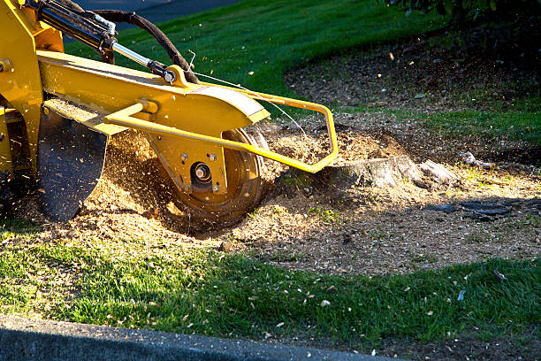 Lawn Irrigation Installation and Maintenance in Providence, UT